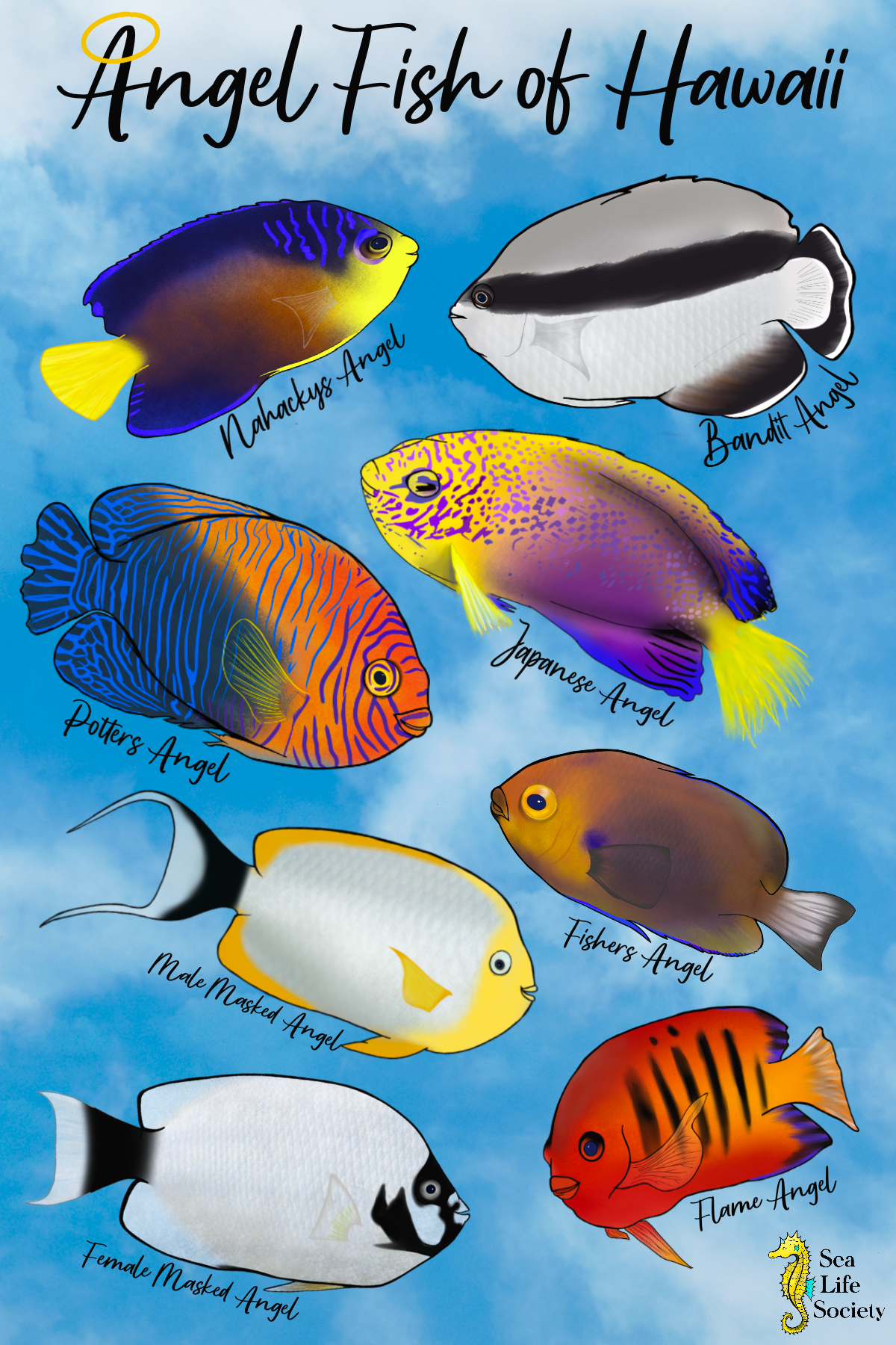 Angel Fish of Hawaii Sticker Sheet