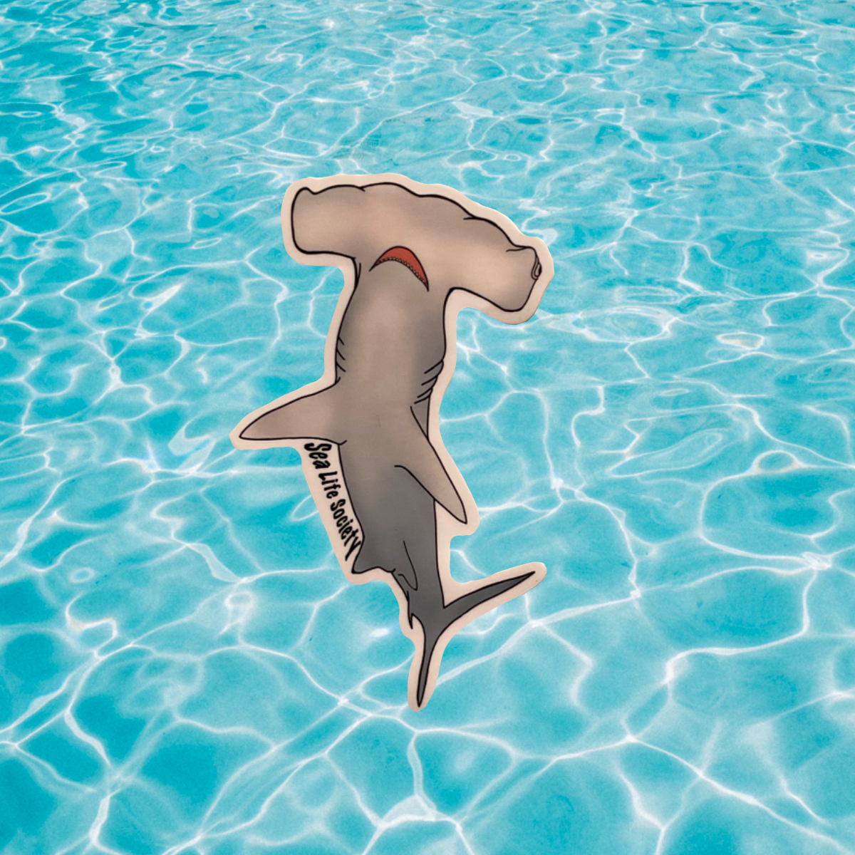 Hammerhead Sticker